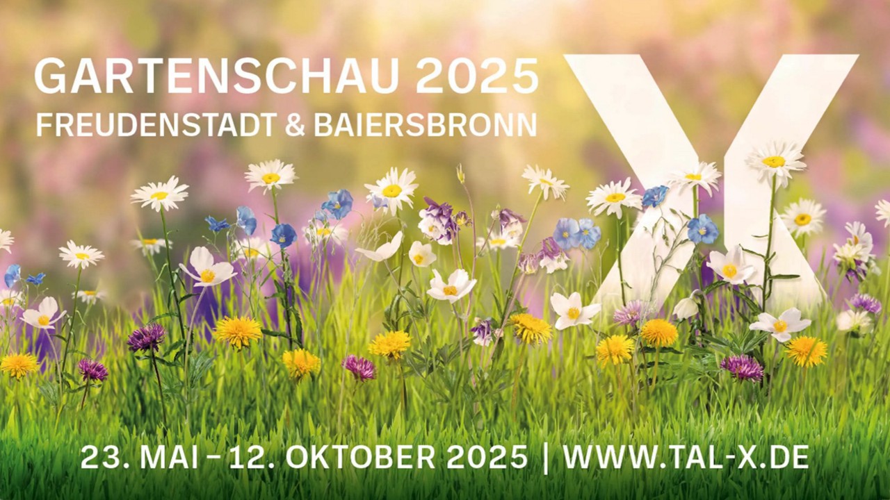 lc adventskalender 2024